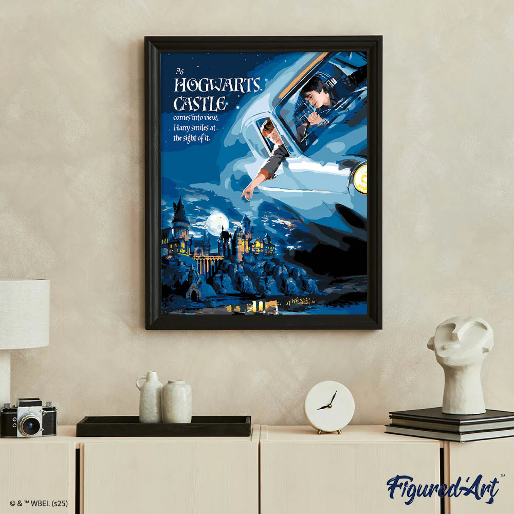 Anglia flight to Hogwarts - Image 3