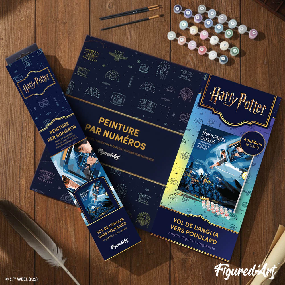 Anglia flight to Hogwarts - Image 4