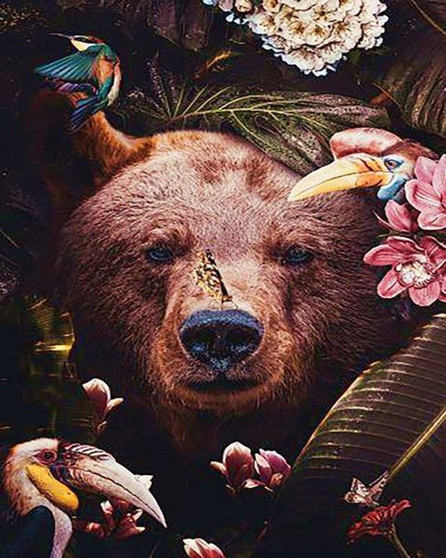 Bear hiding in Foliage