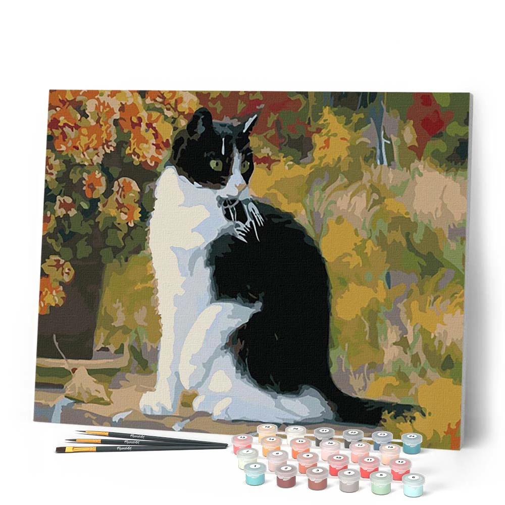 Black and White Cat - Image 2