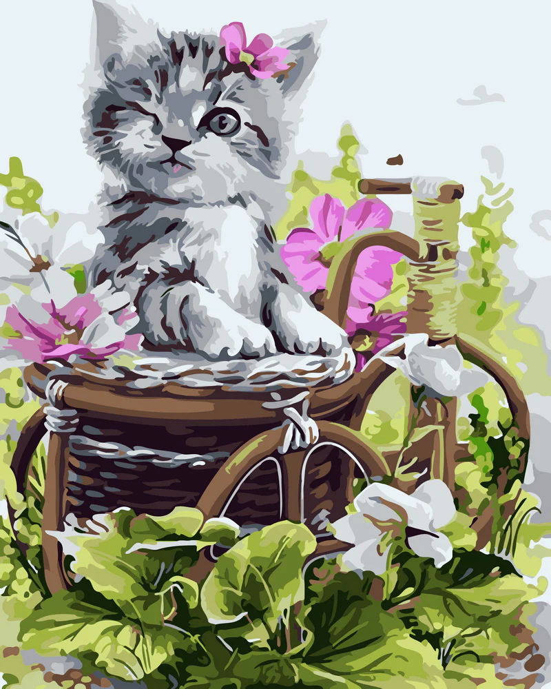 Cute gray kitten