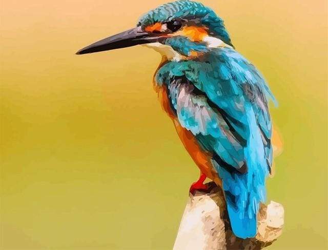Cute Little Bird