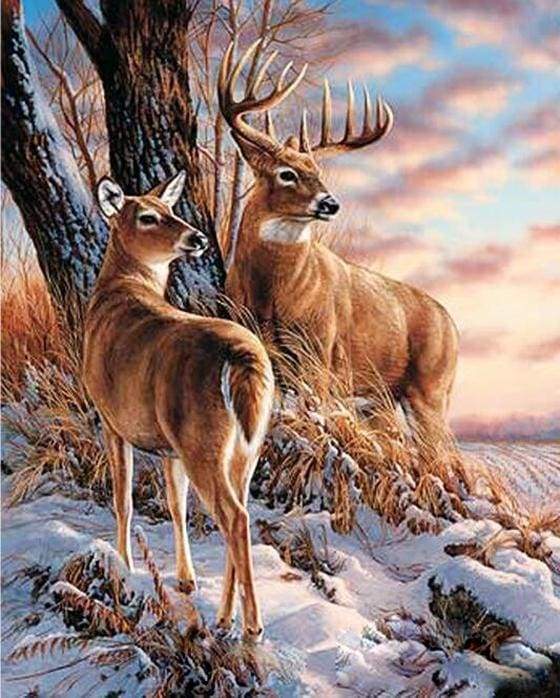 Deers during Winter