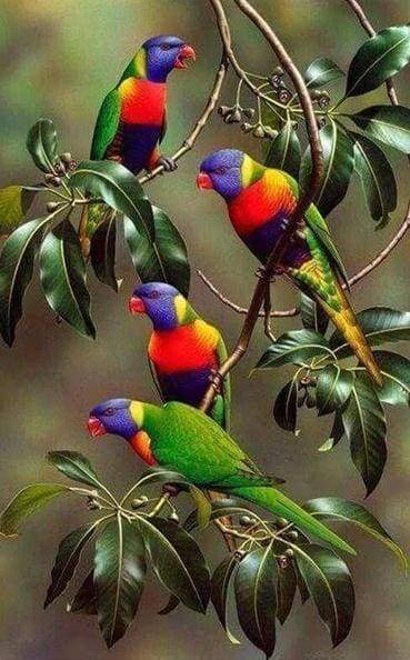 Diamond Painting - Blue-headed Parrots on Branch