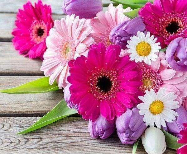Diamond Painting - Colorful Daisies