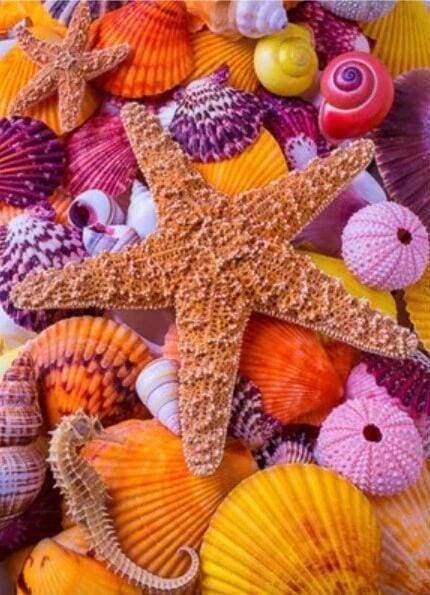 Diamond Painting - Colorful Star and Sea Shells