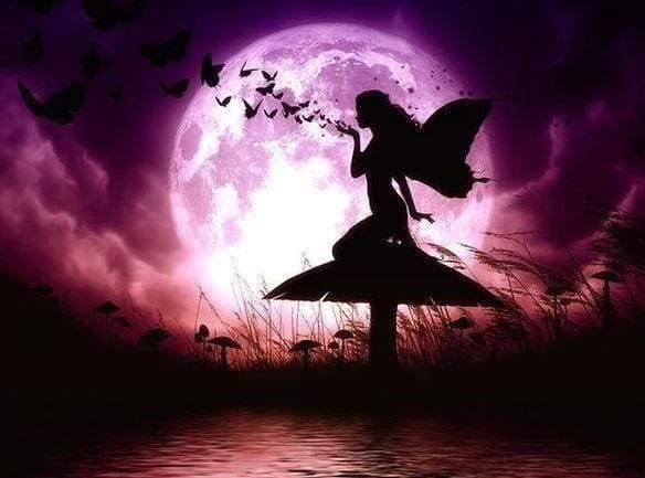 Diamond Painting - Fairy and Full Moon