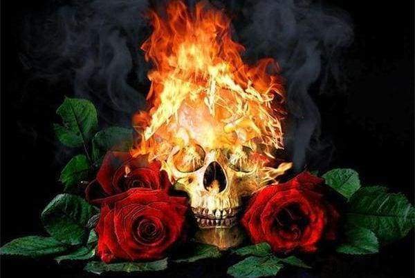 Diamond Painting - Fire Skull and Roses