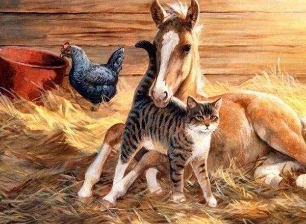 Diamond Painting - Foal and Cat