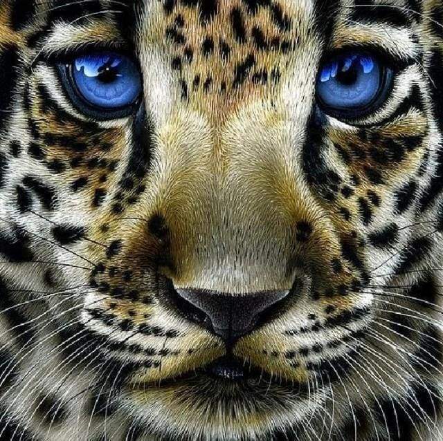 Diamond Painting - Leopard with Blue Eyes