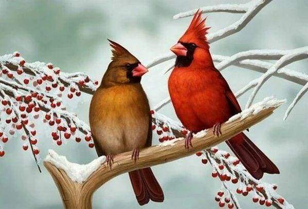 Diamond Painting - Little Tropical Birds