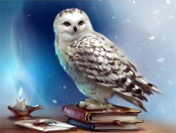 Diamond Painting - Owl and Book