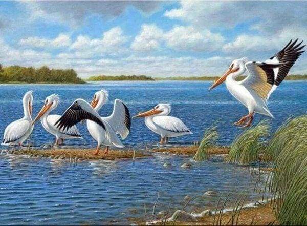 Diamond Painting - Pelicans