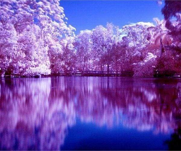 Diamond Painting - Reflections on the Lake