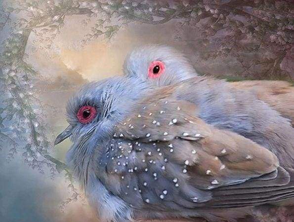 Diamond Painting - Shiny Birds