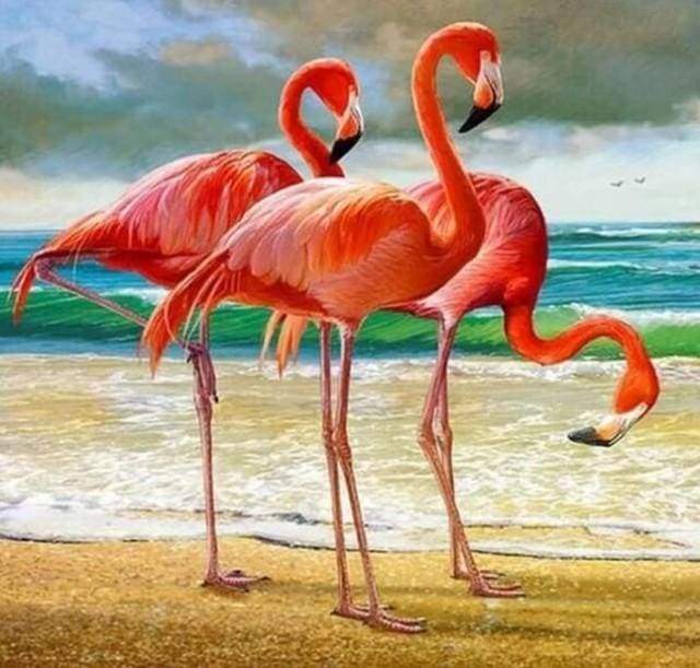 Diamond Painting - Three Flamingos