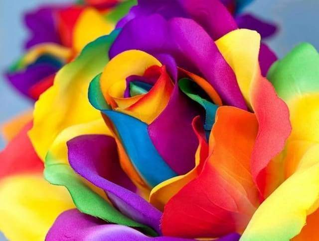Diamond Painting - Tulip Multicolor