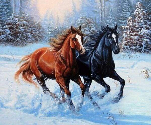 Diamond Painting - Two Horses in Winter