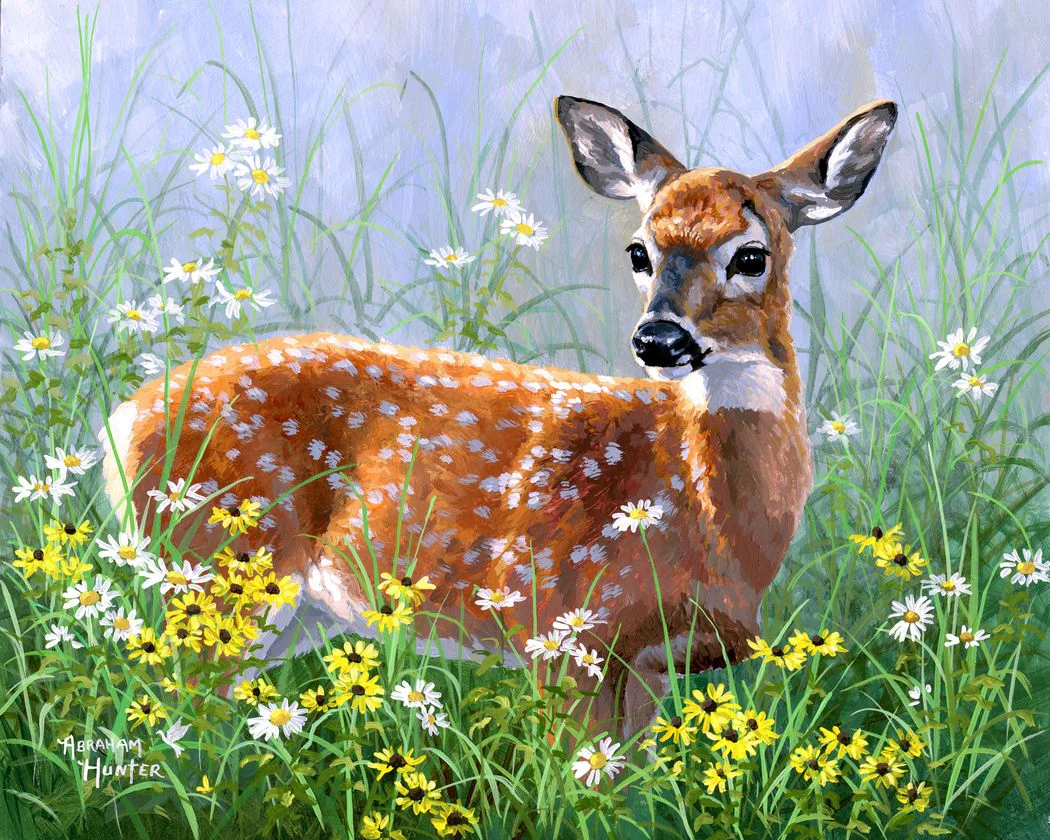 Doe in the meadow