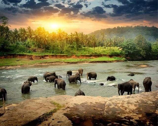Elephants in the River