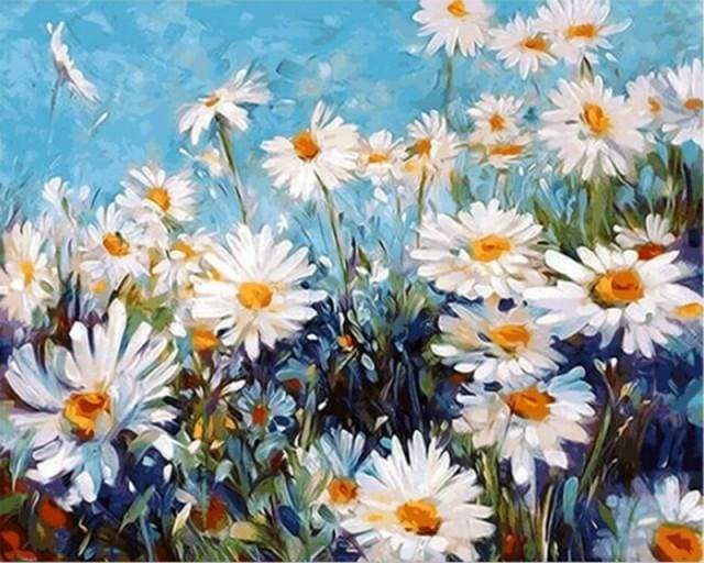 Field of Daisies on a Sunny Day