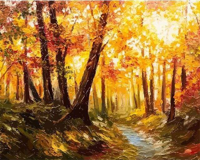 Forest and Sunlight