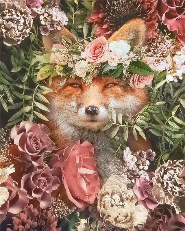 Fox in the flowers