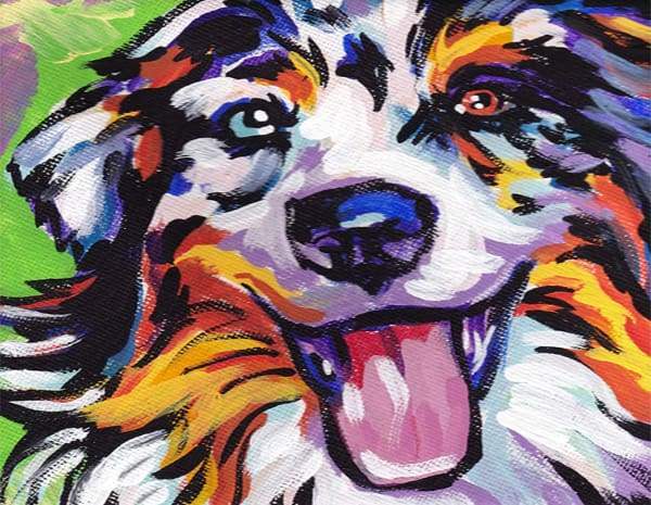Funky Dog