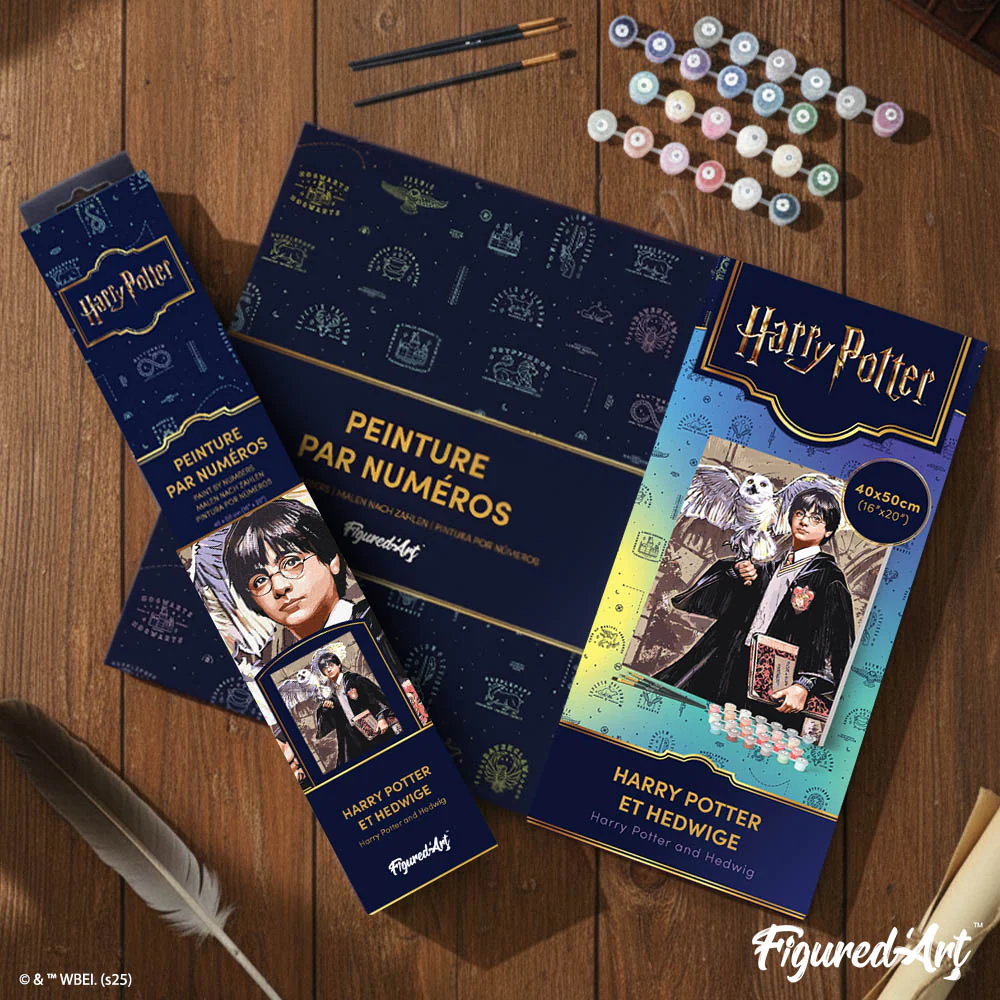 Harry Potter and Hedwig - Image 4