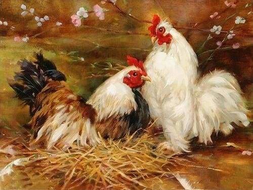 Hen and Rooster