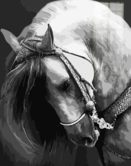 Horse Neck