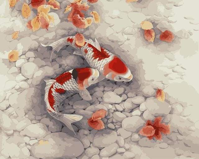 Koi Carps