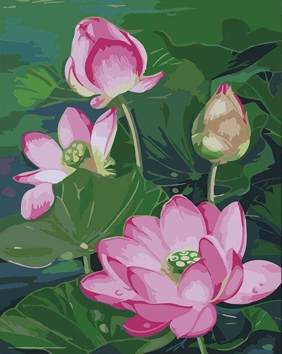 Lotus Pond