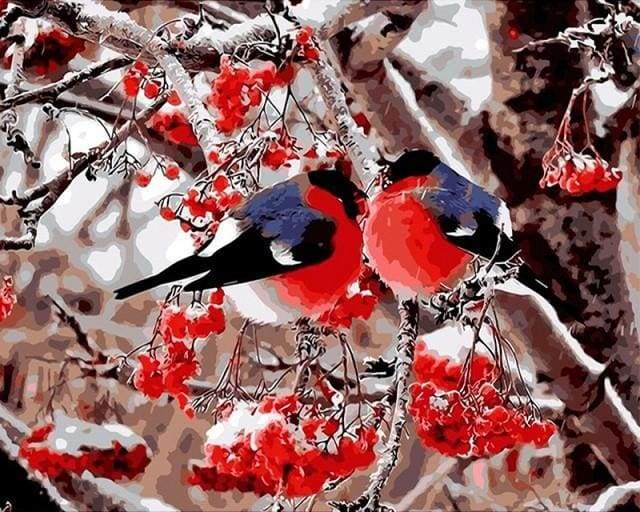 Loving Birds