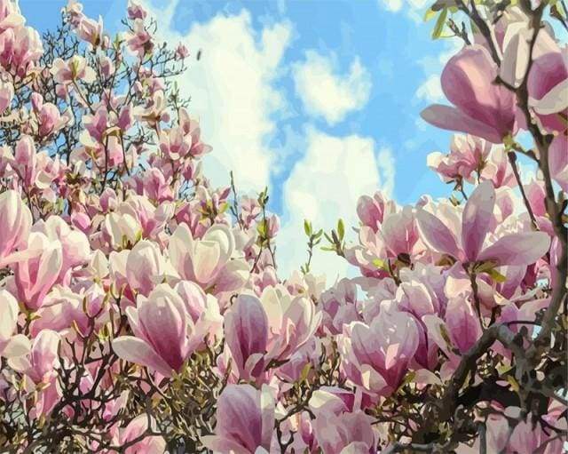 Magnolias