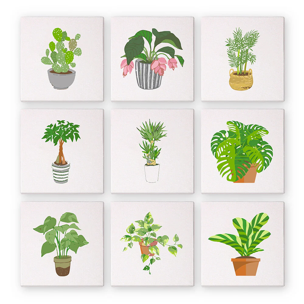 Mini Paint by numbers 15x15cm (9 pieces) - Modern Plant Art