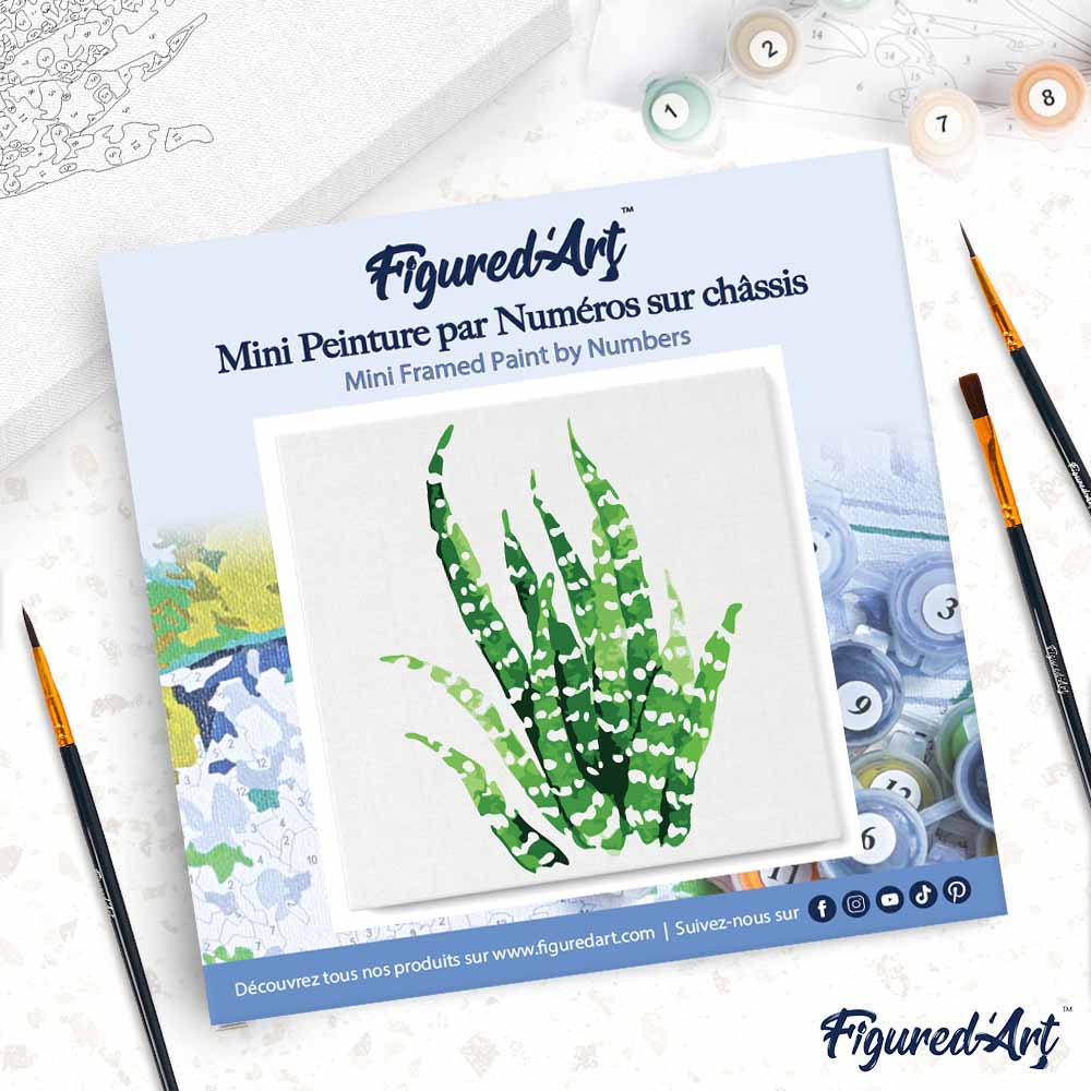 Mini Paint by numbers Abstract Aloe Vera Plant 20x20cm already framed - Image 4