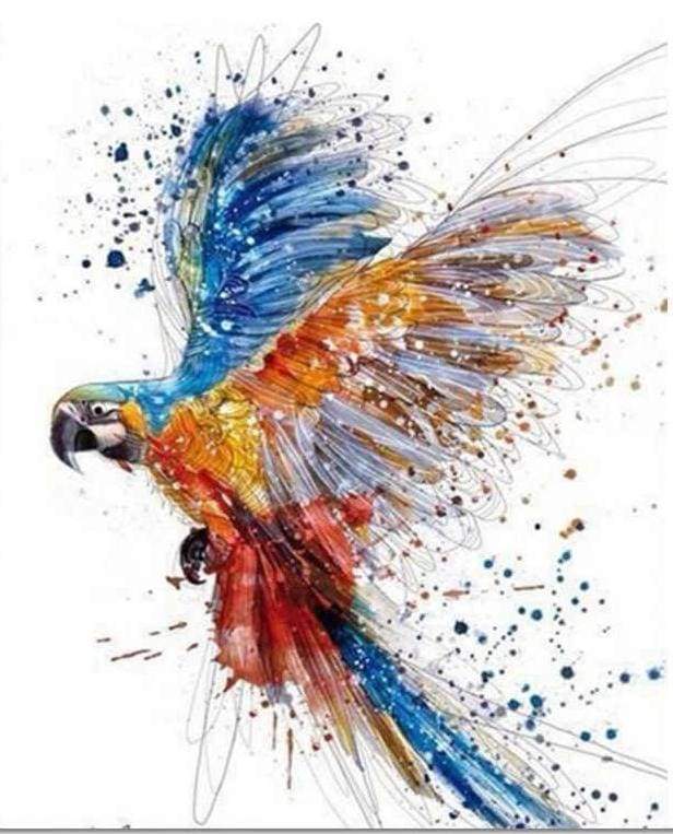 Parrot in full Flight