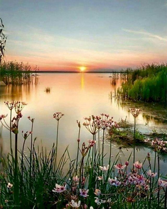 Peaceful Lake