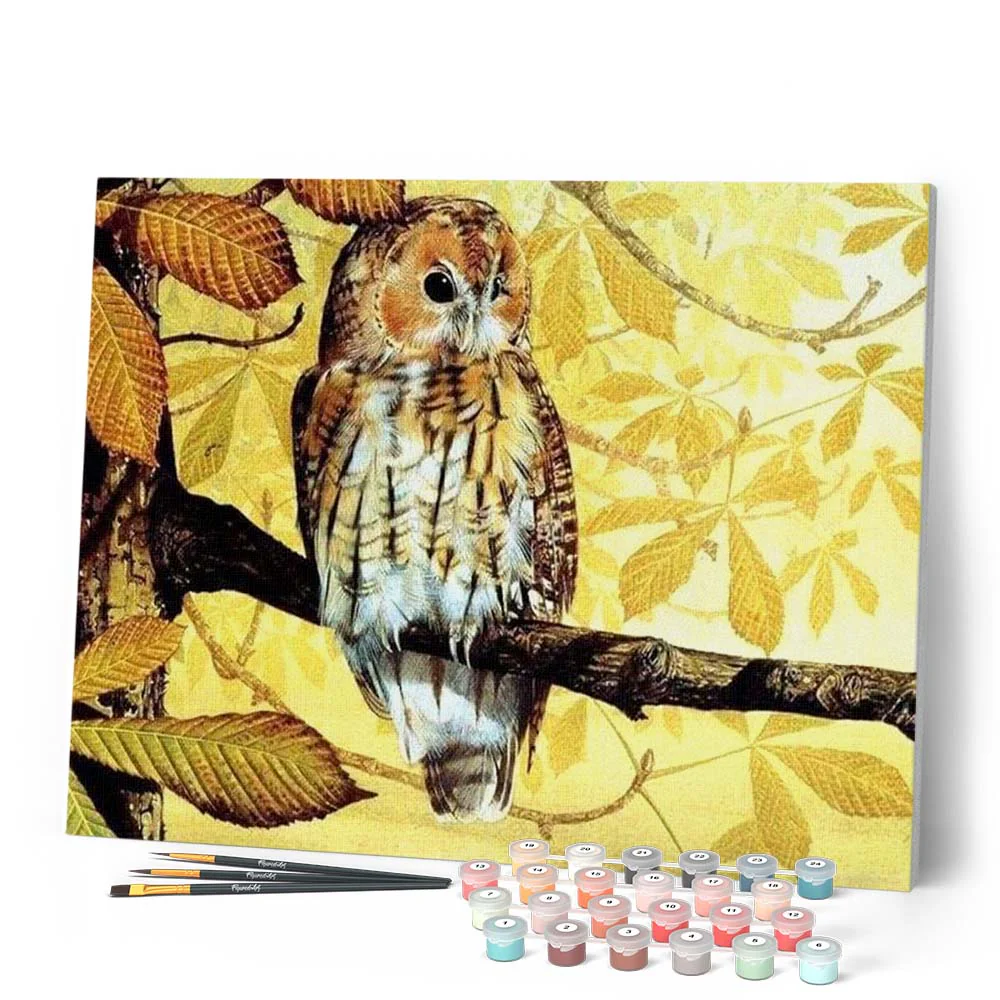 Pretty owl - Image 2