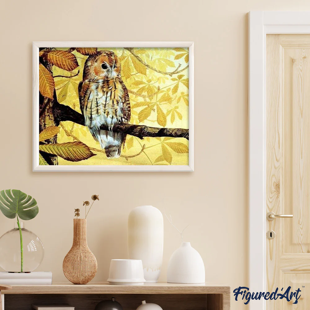 Pretty owl - Image 3