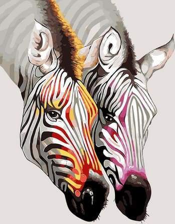Pretty Zebras
