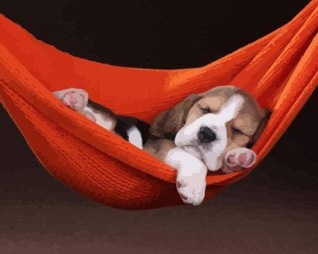Sleeping Dog