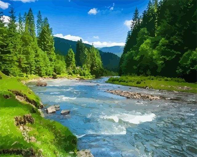 Small river in the Forest