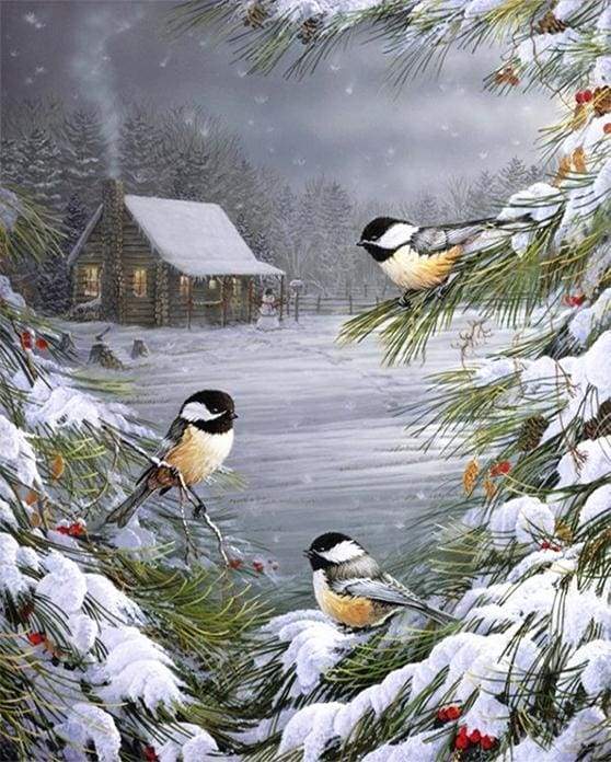 Three Birds in the Snow