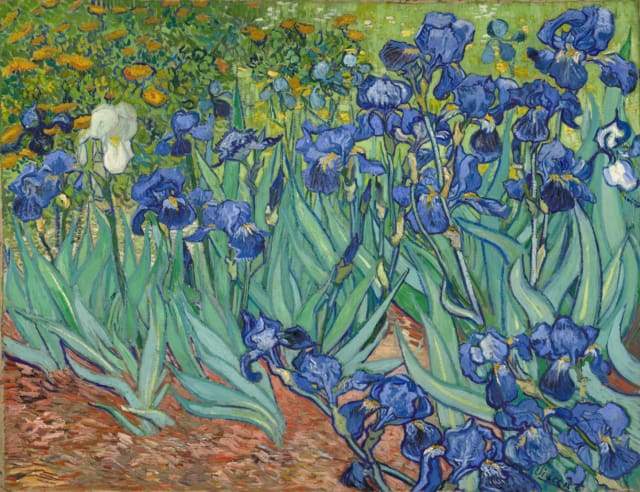 Van Gogh Iris