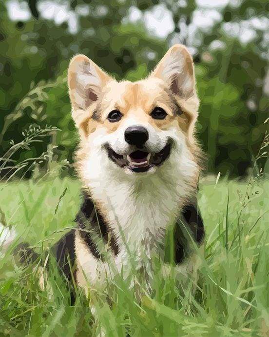 We love Dogs