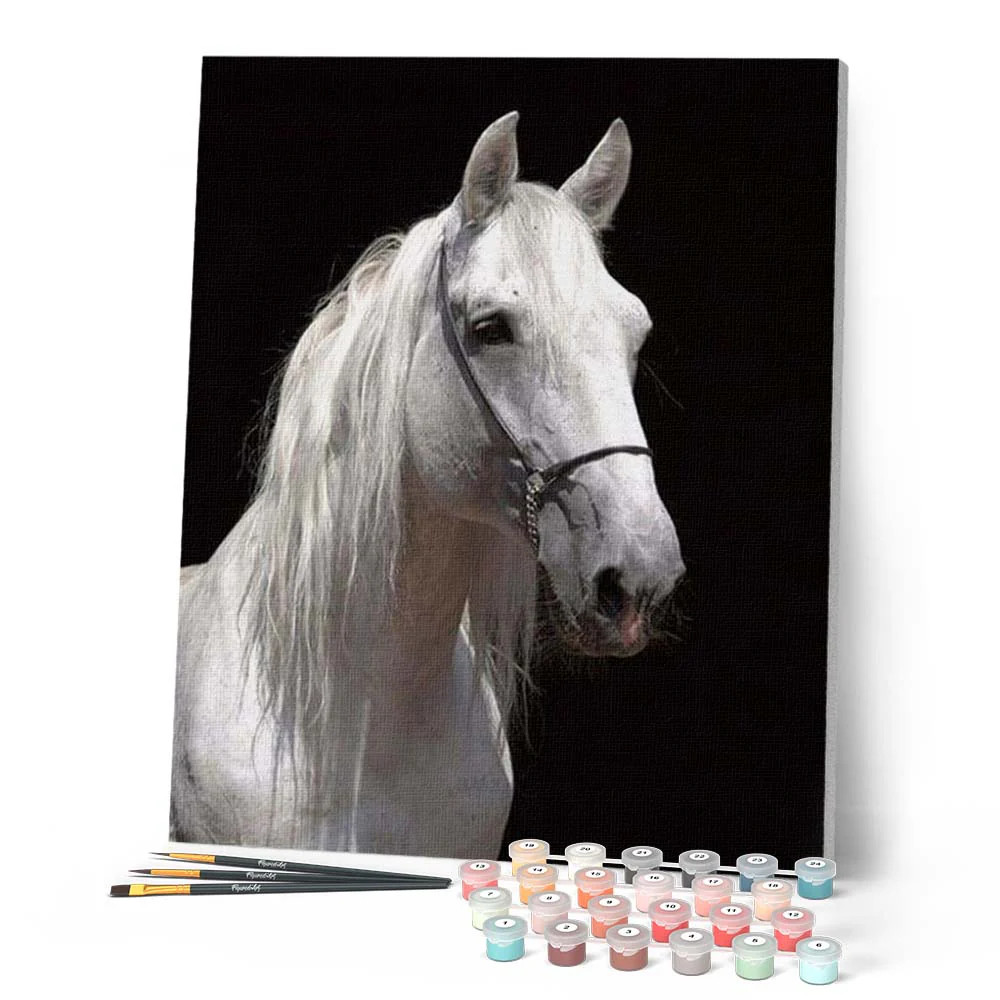 White Horse and black background - Image 2