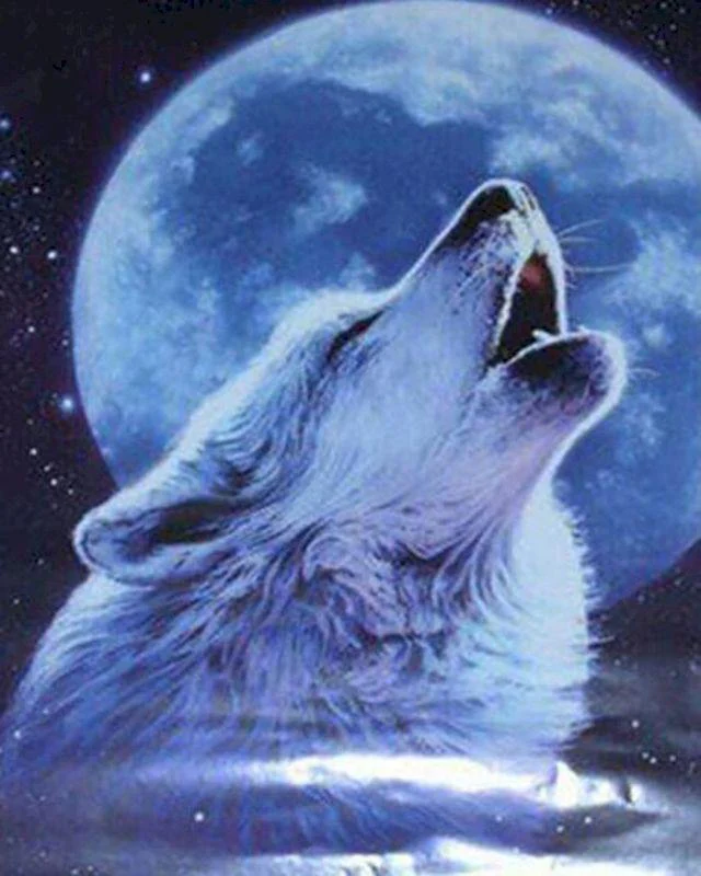Wolf howling and Moon