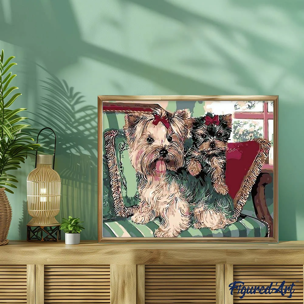 Yorkshire terriers on Sofa - Image 3